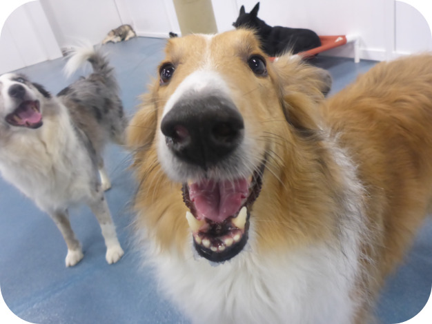 Daycare