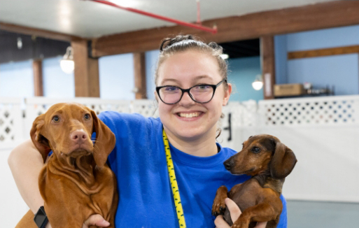 Dog Daycare