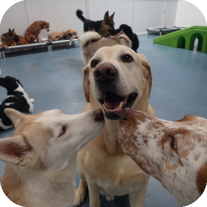 daycare