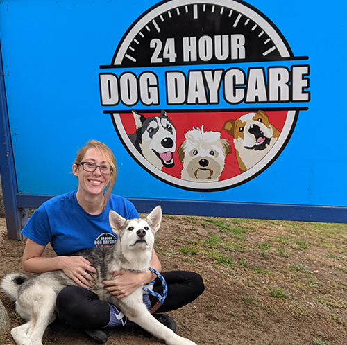 Dog Overnight Daycare